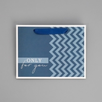 Пакет подарочный ламинированный двухсторонний, упаковка, &laquo;Для тебя&raquo;, MS 18 х 23 х 10 см