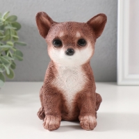 Копилка "Щенок Чихуа Хуа " 15 х 9 х 11,5 см. Копилка "Щенок Чихуа Хуа " 15 х 9 х 11,5 см.