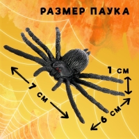 Набор насекомых &laquo;Пауки&raquo;