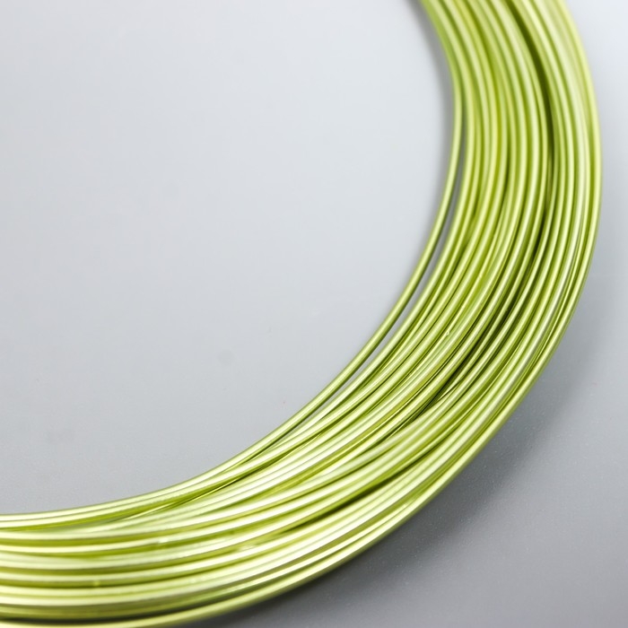 Проволока для творчества d 1мм, зеленое яблоко, рул.10 м Проволока для творчества d 1мм, зеленое яблоко, рул.10 м