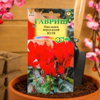 Семена цветов Цикламен "Юля", 3 шт. Семена цветов Цикламен "Юля", 3 шт.