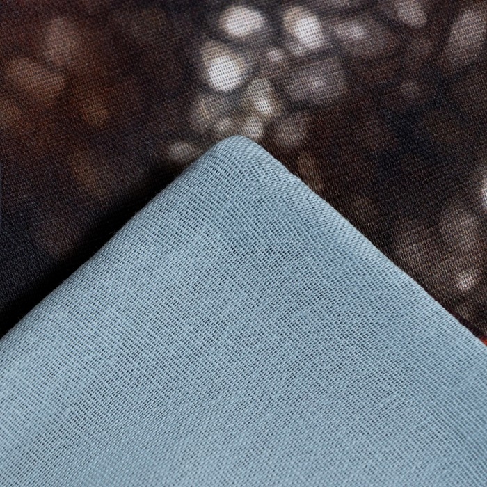 Постельное бельё Этель 1,5 сп Постельное бельё Этель 1,5 сп "Dangerous T-rex" 143х215 см, 150х214 см, 50х70 см -1 шт, 100% хлопок, бязь