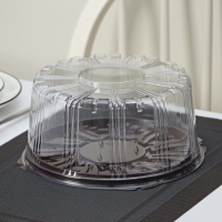 Тортовница пластиковая одноразовая с крышкой УТ-77, 22,5&times;10,7 см, внутренний 19&times;9,3 см, цвет прозрачный, коричневый