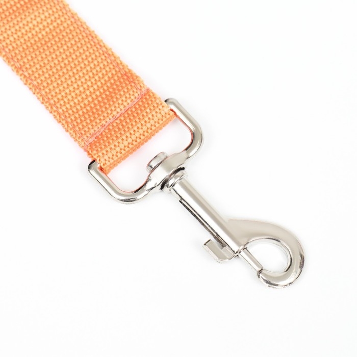 Поводок с подсветкой 3 режима свечения, 120 х 2,5 см, оранжевый Поводок с подсветкой 3 режима свечения, 120 х 2,5 см, оранжевый