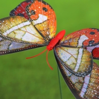 Штекер "Бабочка Верди" 20х14см/45см, МИКС Штекер "Бабочка Верди" 20х14см/45см, МИКС