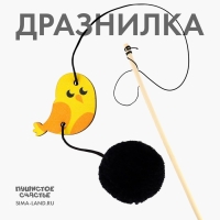 Дразнилка с деревянной подвеской &laquo;Птичка&raquo;, 4 см