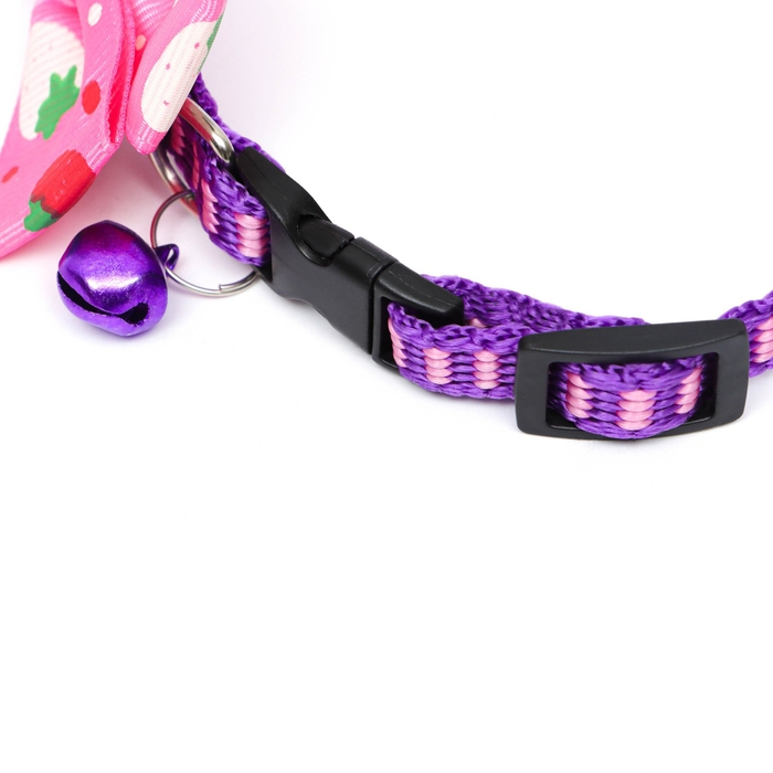 Ошейник Ошейник "Клубника", 30 х 1 см, капрон, розовый