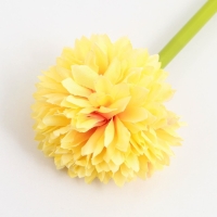 Подарочная ручка прикол &laquo;Воспитателю: Лучший воспитатель&raquo; пластик, синяя паста, пишущий узел 1 мм