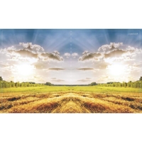 Тетрадь 96 листов в клетку Calligrata "Прекрасная пора", обложка мелованный картон, блок офсет, МИКС Тетрадь 96 листов в клетку Calligrata "Прекрасная пора", обложка мелованный картон, блок офсет, МИКС