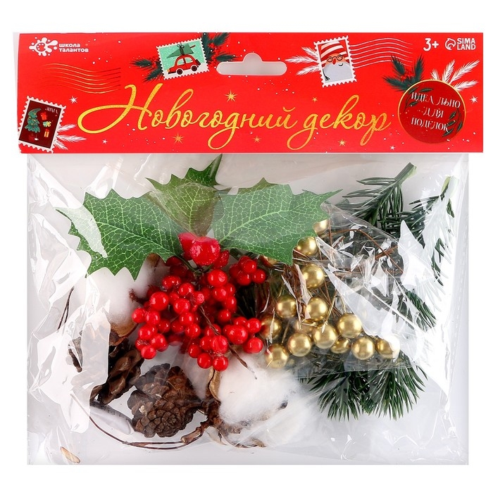 Набор для творчества &laquo;Материалы для зимних поделок. Шишки, веточки&raquo;