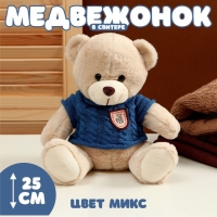 Мягкая игрушка &laquo;Медвежонок&raquo; в свитере, 25 см, цвет МИКС