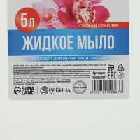 Мыло жидкое кухонное, 5 л (5000 мл), аромат орхидеи, РУССКАЯ ВЫГОДА Мыло жидкое кухонное, 5 л (5000 мл), аромат орхидеи, РУССКАЯ ВЫГОДА