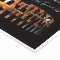 Предметная тетрадь А5, 48 л на скрепке &laquo;Силуэт.История&raquo; Софт тач лам, уф лак