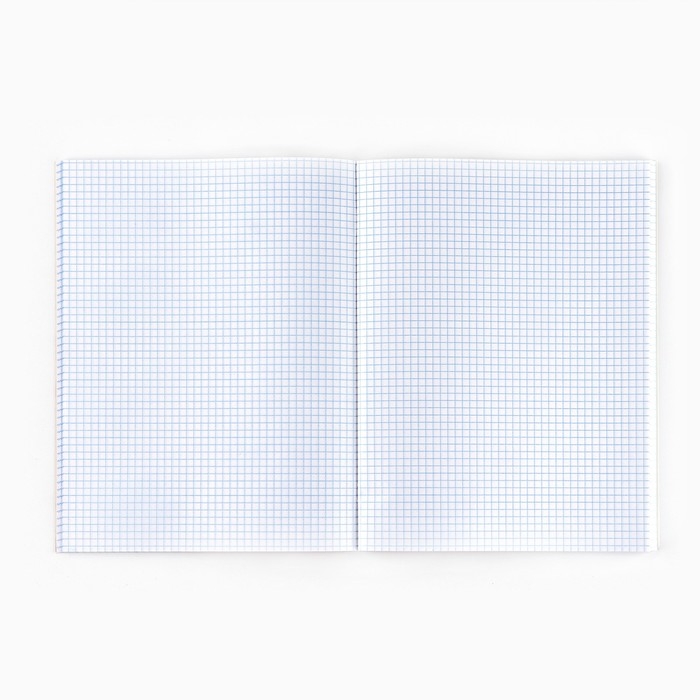 Тетрадь в клетку А4, 80 листов на скрепке &laquo;1 сентября:Цитрусы&raquo;