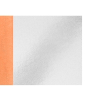 Поталь в книжке 14 х 14 см, 25 листов, серебряная Поталь в книжке 14 х 14 см, 25 листов, серебряная