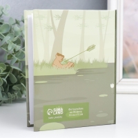 Фотоальбом на 96 фото 10х15 см "Принцесса-лягушка. Хроники нашего болота" 16,5х12х5,5 см Фотоальбом на 96 фото 10х15 см "Принцесса-лягушка. Хроники нашего болота" 16,5х12х5,5 см