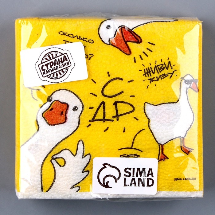 Салфетки бумажные однослойные &laquo;Гуси&raquo;, 24 &times; 24 см, в наборе 20 шт.