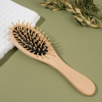 Расчёска массажная «Натурель», 6 × 22 см, цвет «светлое дерево» Расчёска массажная «Натурель», 6 × 22 см, цвет «светлое дерево»
