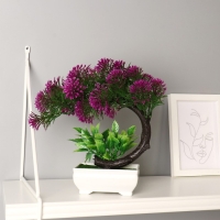 Бонсай в горшке "Селагинелла африканская" 10х20 см, микс Бонсай в горшке "Селагинелла африканская" 10х20 см, микс