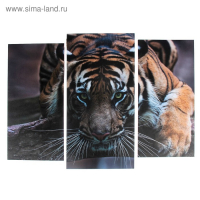 Модульная картина "Тигровый взгляд"  (2-25х52; 1-30х60) 60х80 см