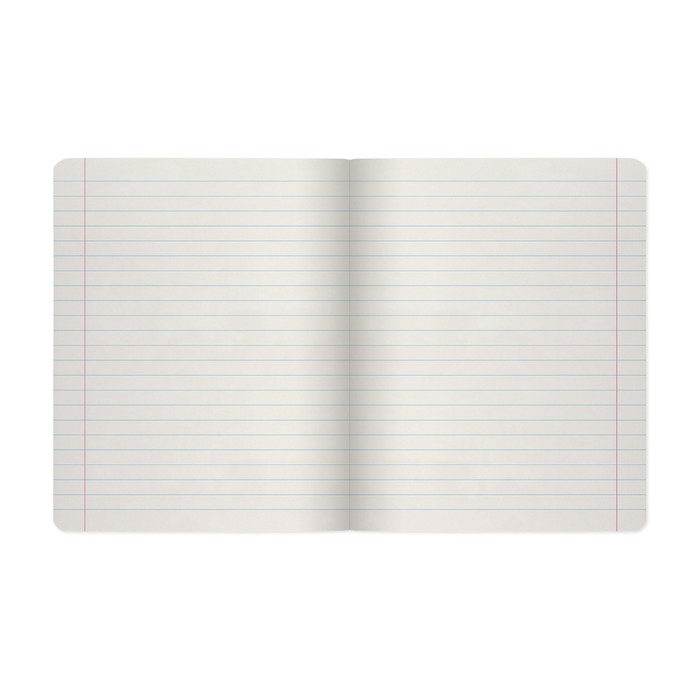 Тетрадь предметная "Зверобудни", 48 листов в линию "Литература", обложка картон, ламинация SoftTouch