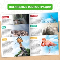 Обучающие книги набор &laquo;Удивительный мир&raquo; 6 шт. по 20 стр.