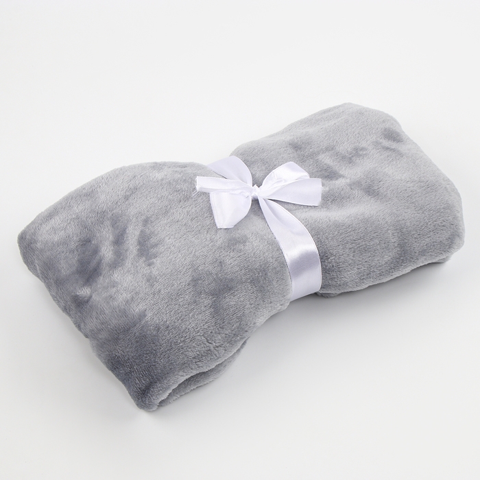 Набор подарочный: Комфортер 27 см + плед 71х125 см, &laquo;Енот&raquo;