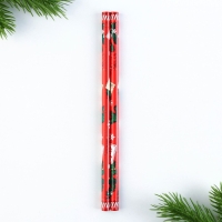 Подарочный набор новогодний, блокнот,карандаши ч/г 2 шт и восковые мелки &laquo;Новогодняя посылка&raquo;