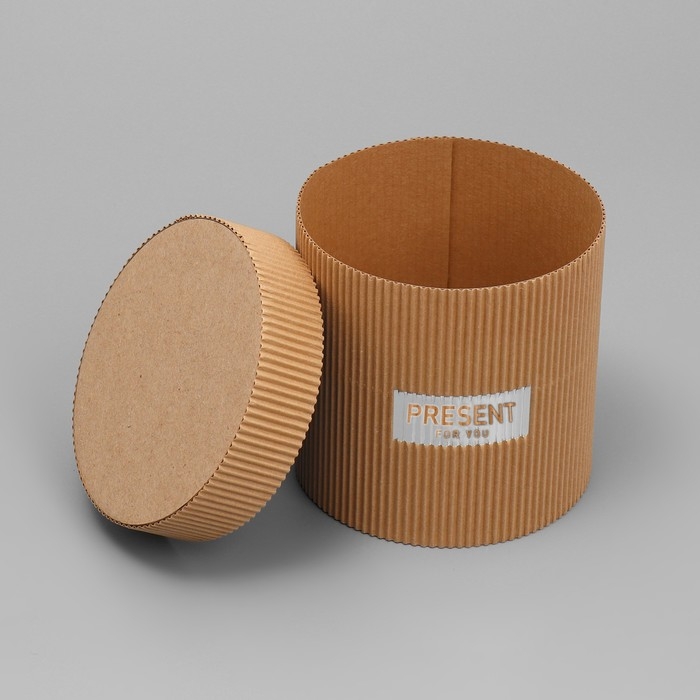 Коробка подарочная шляпная из микрогофры, упаковка, «Present for you», 12 х 12 см Коробка подарочная шляпная из микрогофры, упаковка, «Present for you», 12 х 12 см
