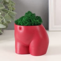 Кашпо бетонное "Невинный вид" высота 6,5см, ширина 8,5см винный со мхом (мох зелен. стабилиз 1041207 Кашпо бетонное "Невинный вид" высота 6,5см, ширина 8,5см винный со мхом (мох зелен. стабилиз 1041207