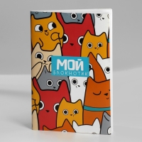 Подарочный набор блокнот-раскраска, трафарет, наклейки и восковые мелки &laquo;Котиков много не бывает&raquo;