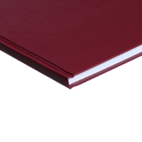 Книга учета, 96 листов, обложка бумвинил, блок ОФСЕТ, клетка, цвет бордовый