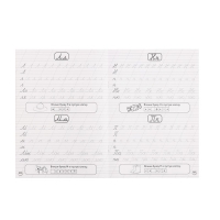 100 заданий &laquo;Готовим руку к письму&raquo;