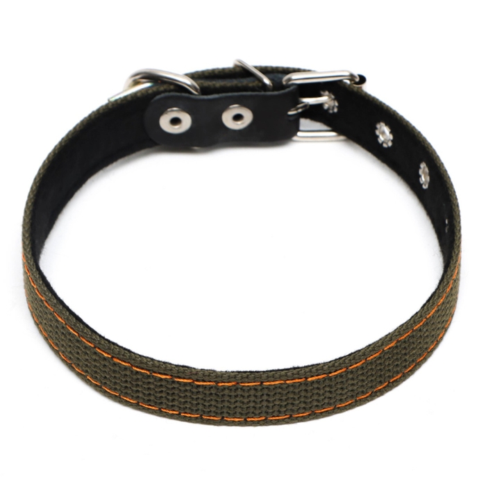 Ошейник брезентовый с подкладом, 50 х 2 см, ОШ 25-35 см, хаки Ошейник брезентовый с подкладом, 50 х 2 см, ОШ 25-35 см, хаки