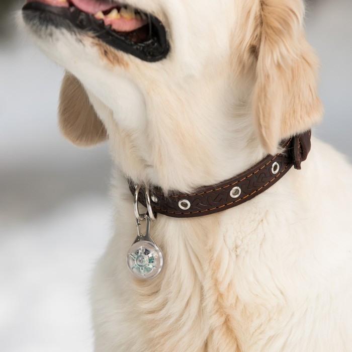 Маячок Сфера 3 режима свечения прозрачный