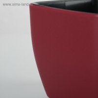 Кашпо для цветов с автополивом Unicum, пластик, 1,1 л, цвет МИКС Кашпо для цветов с автополивом Unicum, пластик, 1,1 л, цвет МИКС