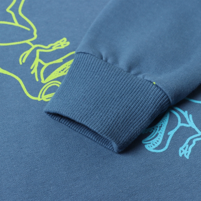 Свитшот для мальчиков, цвет джинсовый/дино, рост 98 см