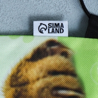 Мешок для обуви со светоотражающим элементом &laquo;Забавный котёнок&raquo; 30 х 40 см