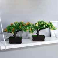 Бонсай в горшке "Дерево жизни" 11,5х15 см, микс Бонсай в горшке "Дерево жизни" 11,5х15 см, микс