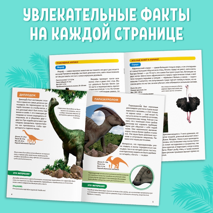 Мини-энциклопедии &laquo;Мир животных&raquo;, набор 6 шт. по 20 стр.