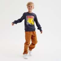 Свитшот для мальчика MINAKU: Casual Collection KIDS цвет графит, рост 122 Свитшот для мальчика MINAKU: Casual Collection KIDS цвет графит, рост 122