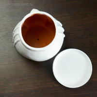 Горшок - органайзер "Клеопатра" белый, 1,6 л/ 16х17х16см Горшок - органайзер "Клеопатра" белый, 1,6 л/ 16х17х16см