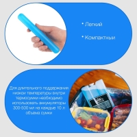 Аккумулятор холода гелевый "Мастер К", 80 мл, хладоэлемент для термосумок, 20 х 2.5 см Аккумулятор холода гелевый "Мастер К", 80 мл, хладоэлемент для термосумок, 20 х 2.5 см