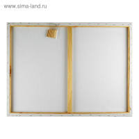 Холст на подрамнике, хлопок 100%, 60 х 80 х 2 см, акриловый грунт, мелкозернистый, 280 г/м&sup2;