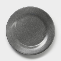 Тарелка фарфоровая &laquo;Млечный путь&raquo;, d=26 см