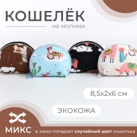 Кошелёк на молнии, цвет МИКС Кошелёк на молнии, цвет МИКС