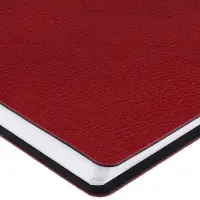 Ежедневник Strep Front на заказ, недатированный, красный