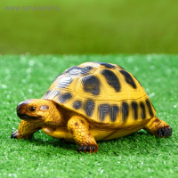 Садовая фигура "Черепашка" 17х11см Садовая фигура "Черепашка" 17х11см