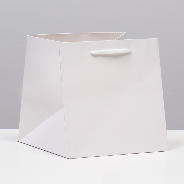 Пакет под торт 20х20х20cm Белый, 1шт Пакет под торт 20х20х20cm Белый, 1шт