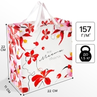 Пакет подарочный "Мечты сбудутся" 22х22х11 см, упаковка, Принцессы